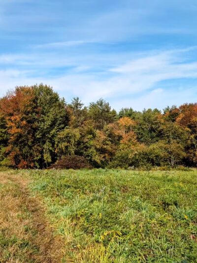 Bowers Springs - Bolton, MA