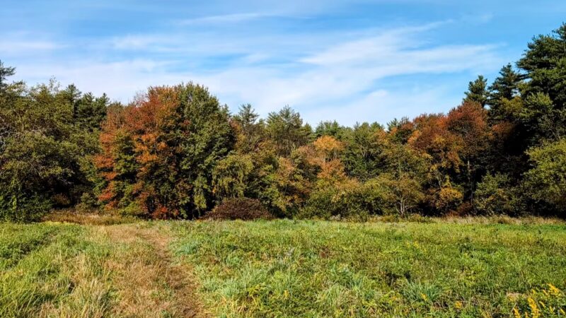 Bowers Springs - Bolton, MA