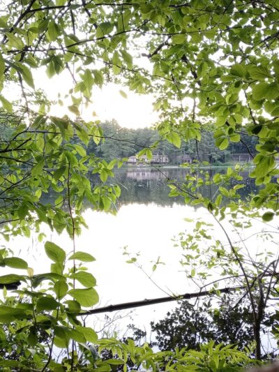 Persons Park - Bolton, MA