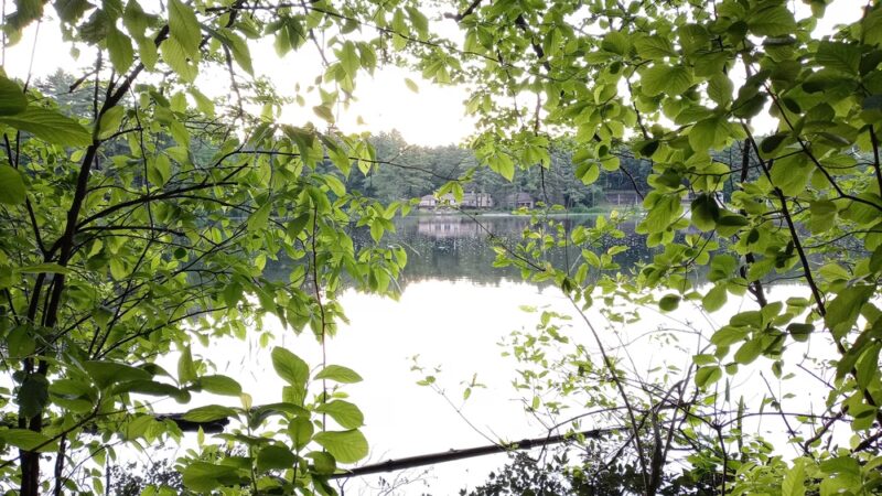 Persons Park - Bolton, MA