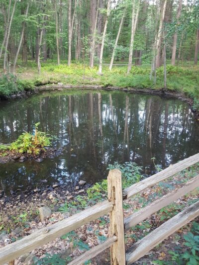 Persons Park - Bolton, MA