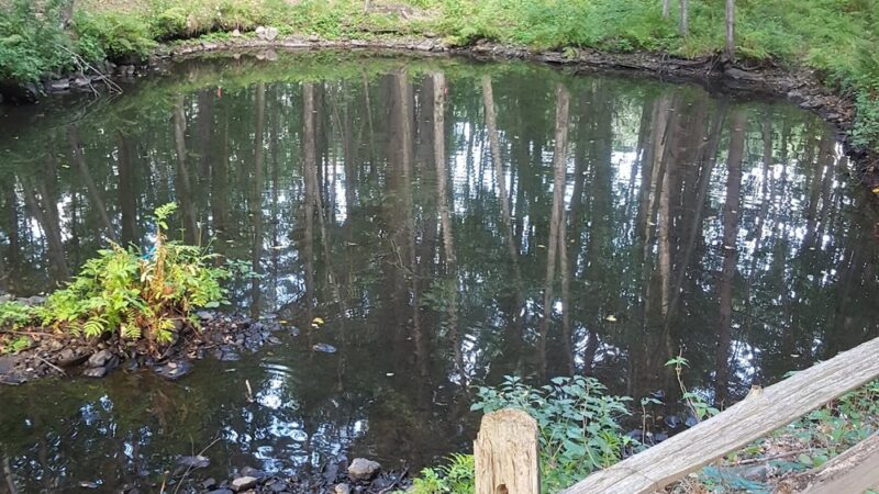 Persons Park - Bolton, MA