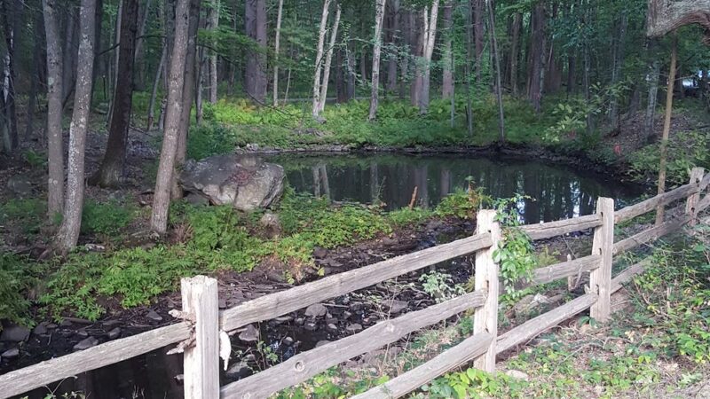 Persons Park - Bolton, MA