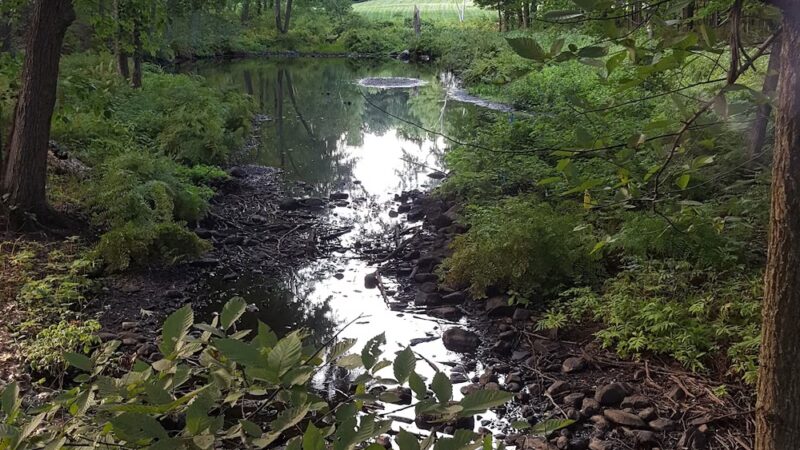 Persons Park - Bolton, MA