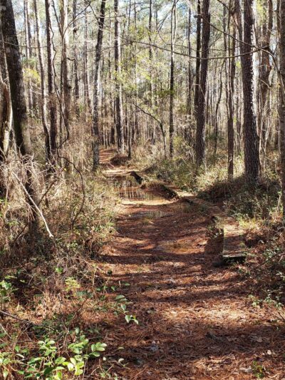 Lake Moultrie Passage Trailhead - Bonneau, SC