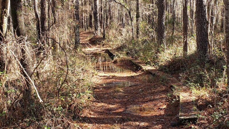 Lake Moultrie Passage Trailhead - Bonneau, SC