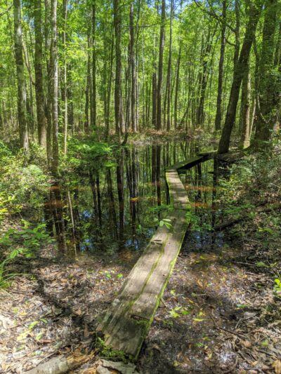 Lake Moultrie Passage Trailhead - Bonneau, SC