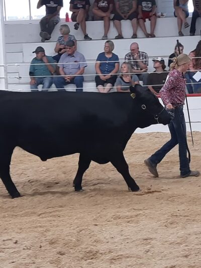 Boundary County Fairgrounds - Bonners Ferry, ID