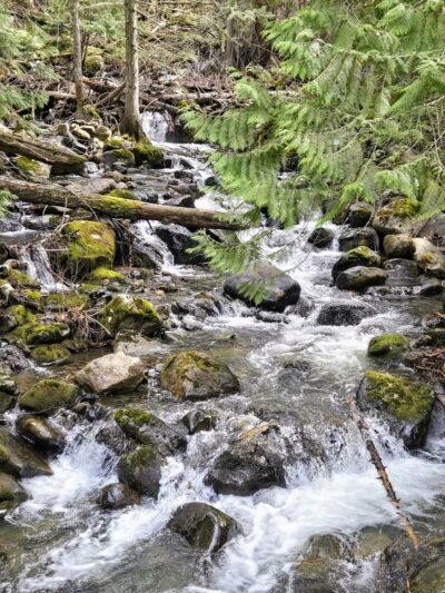 Copper Falls Trailhead - Bonners Ferry, ID