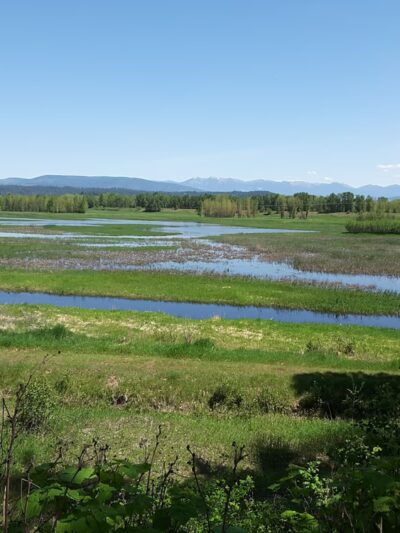 Kootenai National Wildlife Refuge - Bonners Ferry, ID