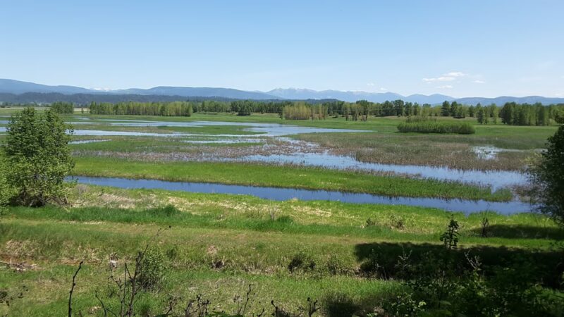 Kootenai National Wildlife Refuge - Bonners Ferry, ID