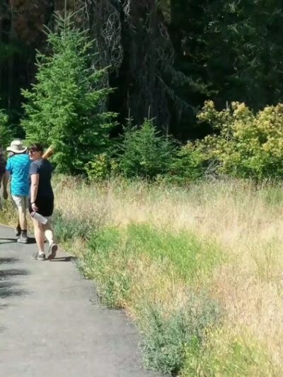 Kootenai National Wildlife Refuge - Bonners Ferry, ID