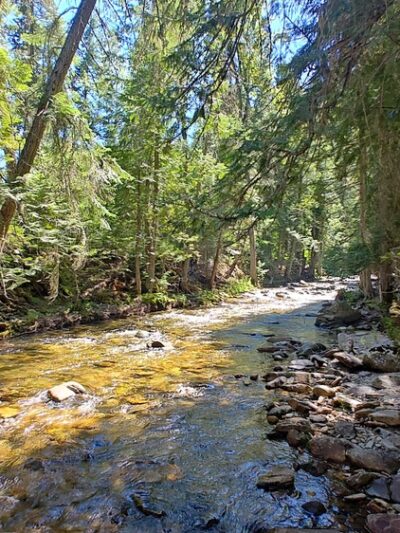Kootenai National Wildlife Refuge - Bonners Ferry, ID