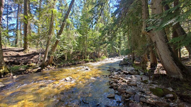 Kootenai National Wildlife Refuge - Bonners Ferry, ID