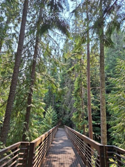 Myrtle Falls Trail - Bonners Ferry, ID