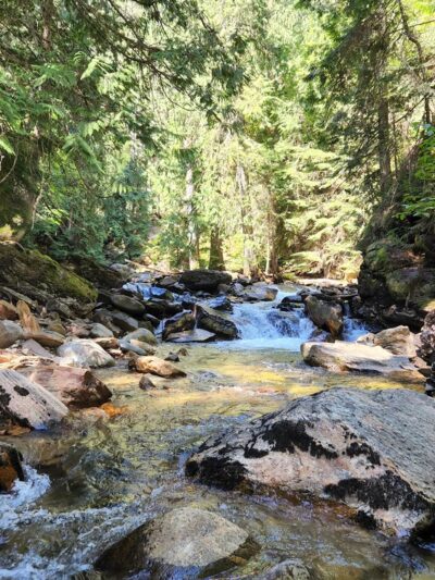 Myrtle Falls Trail - Bonners Ferry, ID