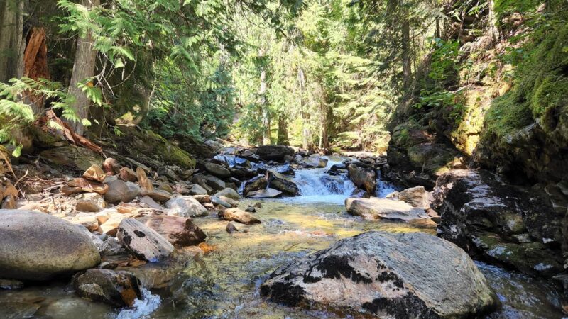 Myrtle Falls Trail - Bonners Ferry, ID