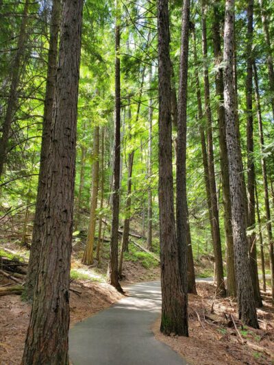 Myrtle Falls Trail - Bonners Ferry, ID