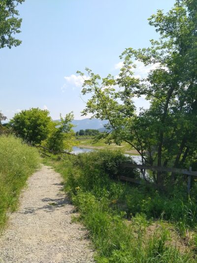 Riverside Park At District 2 - Bonners Ferry, ID