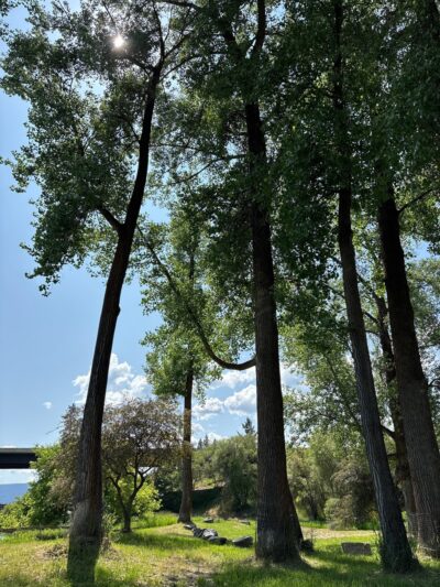 Riverside Park At District 2 - Bonners Ferry, ID