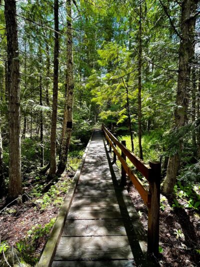 Snow Creek Falls Trailhead - Bonners Ferry, ID