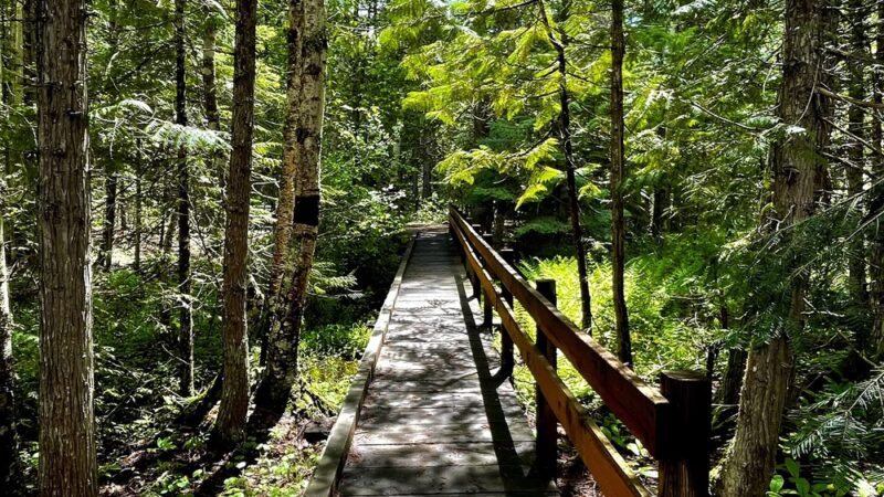 Snow Creek Falls Trailhead - Bonners Ferry, ID