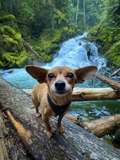 Snow Creek Falls Trailhead - Bonners Ferry, ID