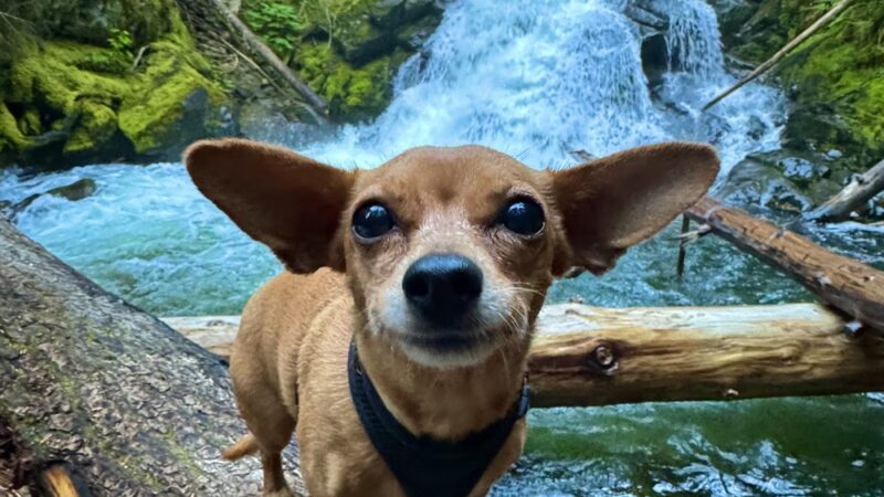 Snow Creek Falls Trailhead - Bonners Ferry, ID
