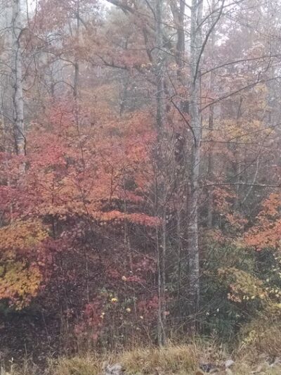 Boomer Park Shelter - Boomer, NC