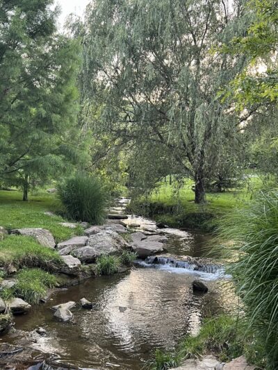 Durham Park - Boone, NC