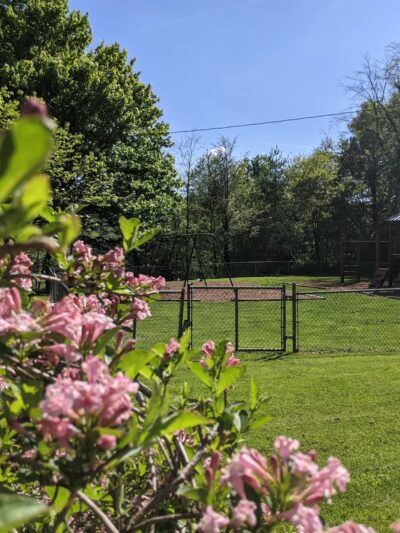 North Street Park - Boone, NC