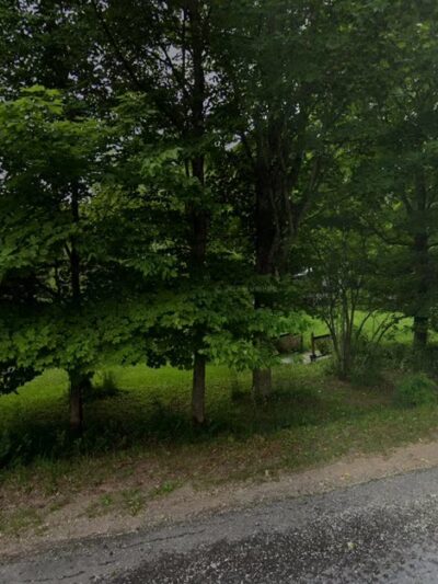 Maplewoods Kennel - Boonville, NY