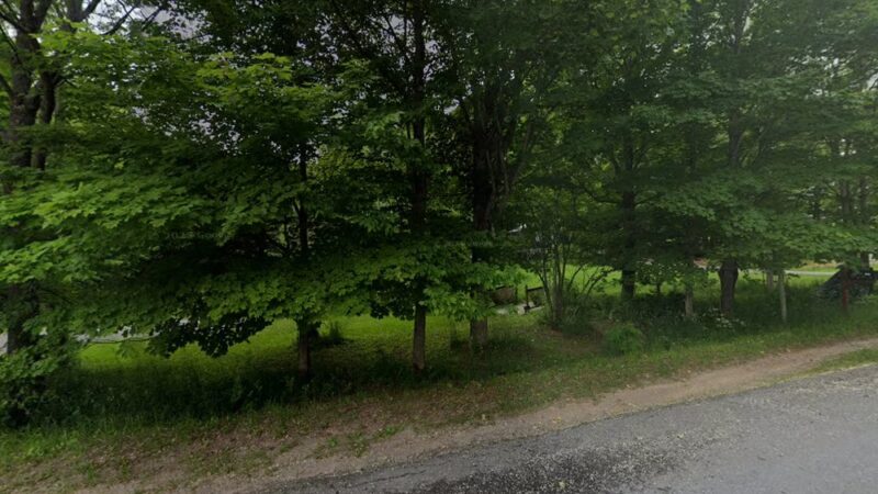 Maplewoods Kennel - Boonville, NY