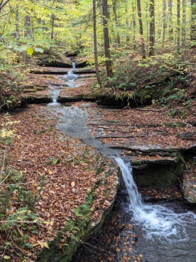 Pixley Falls - Boonville, NY
