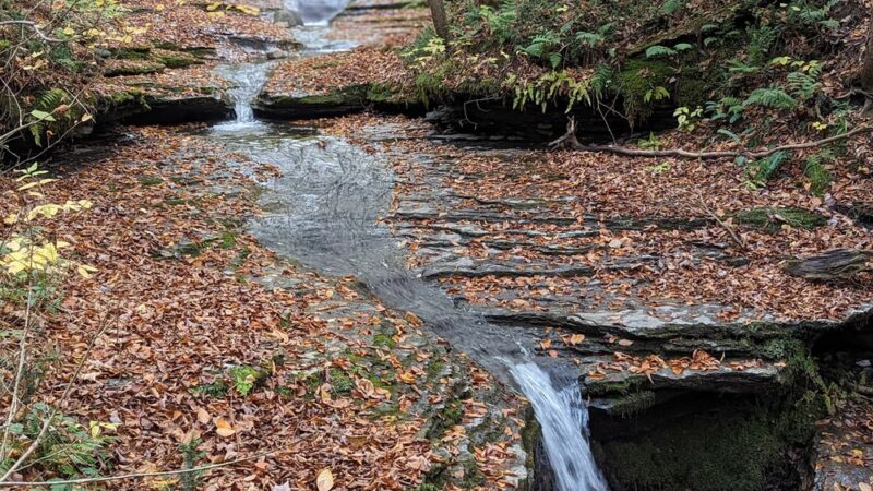 Pixley Falls - Boonville, NY