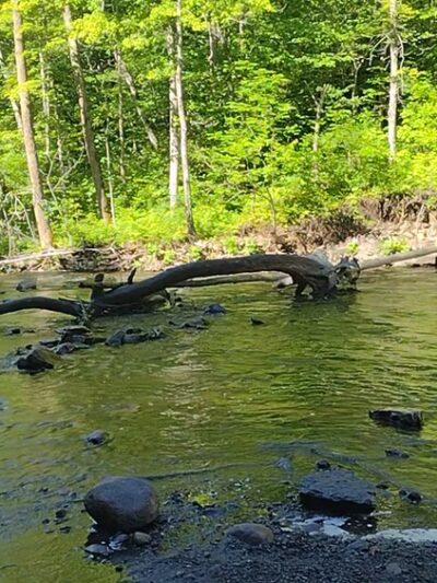 Pixley Falls State Park - Boonville, NY