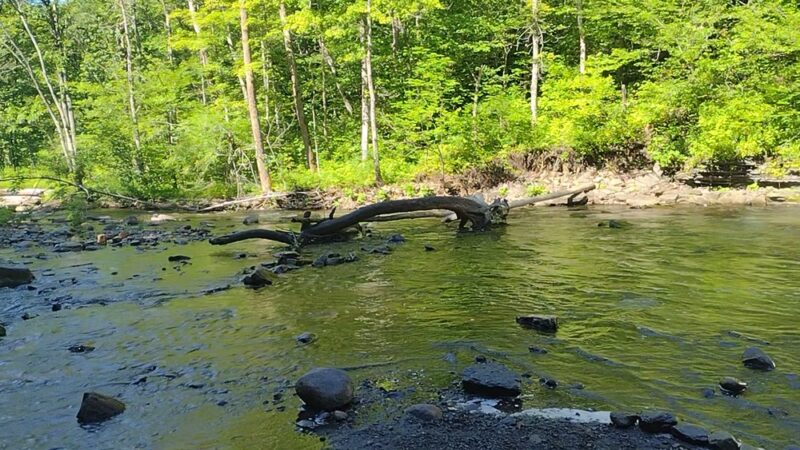 Pixley Falls State Park - Boonville, NY
