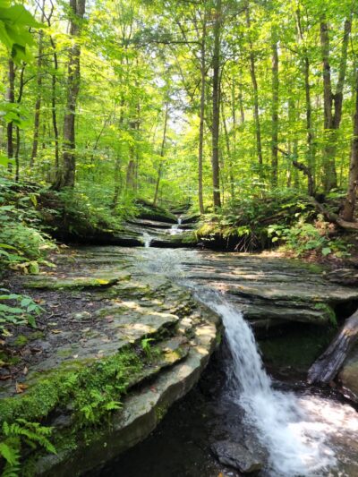 Pixley Falls State Park - Boonville, NY