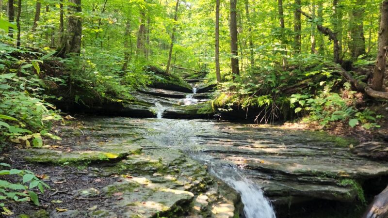 Pixley Falls State Park - Boonville, NY