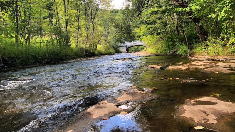 Pixley Falls State Park - Boonville, NY