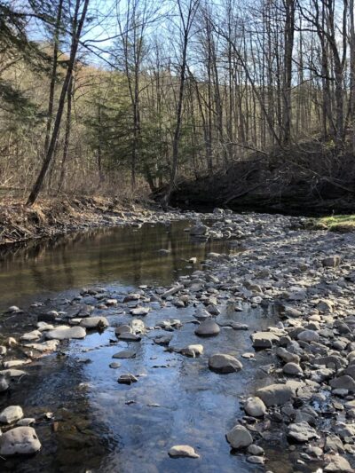 Pixley Falls State Park - Boonville, NY