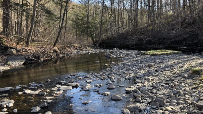 Pixley Falls State Park - Boonville, NY