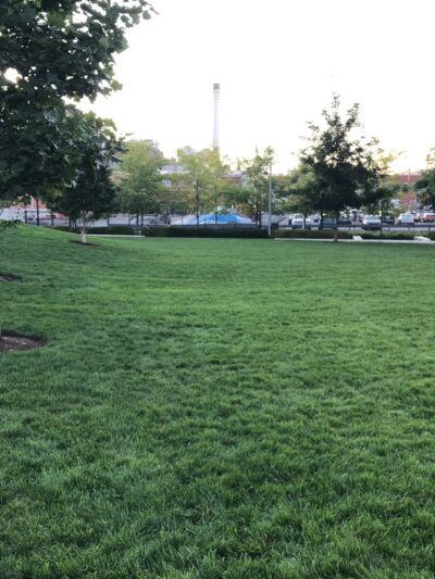 A Street Park - Boston, MA