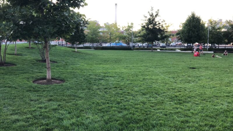 A Street Park - Boston, MA