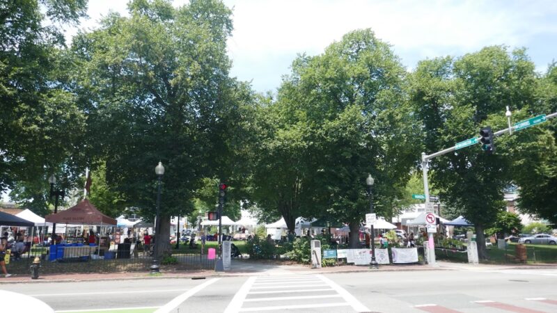 Adams Park - Boston, MA