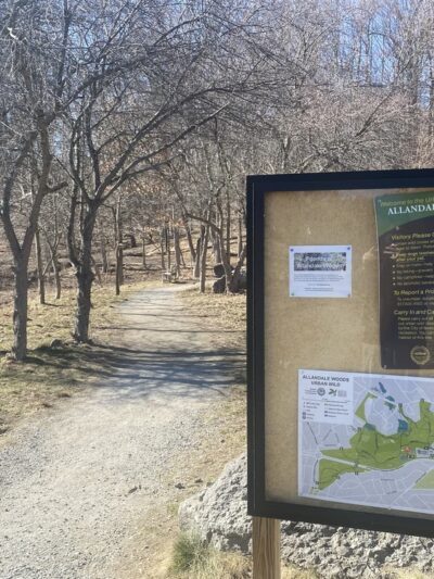 Allandale Woods - Boston, MA