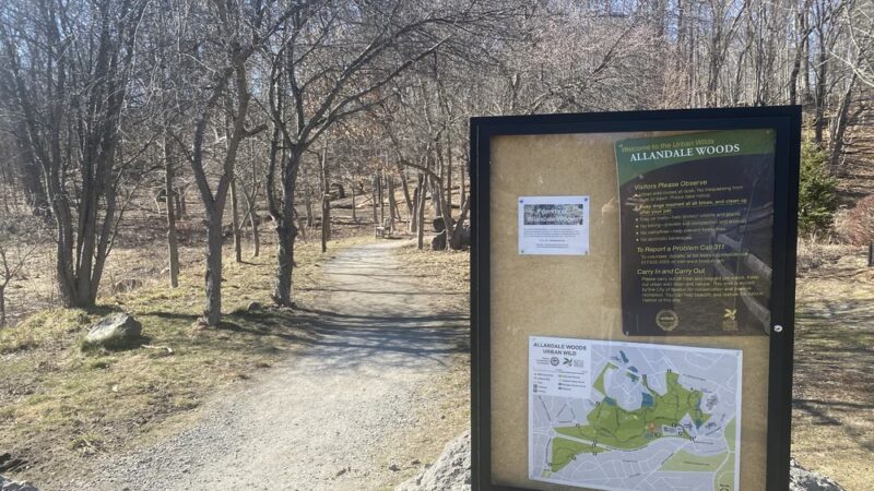 Allandale Woods - Boston, MA
