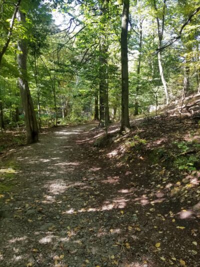 Allandale Woods - Boston, MA