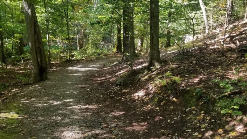 Allandale Woods - Boston, MA