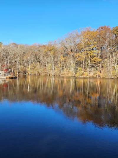 Allandale Woods - Boston, MA